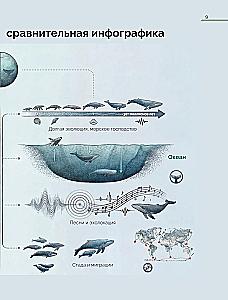 Whales. The Unexplored Mind. The History of Evolution and Recent Research on the Intelligence of Marine Giants