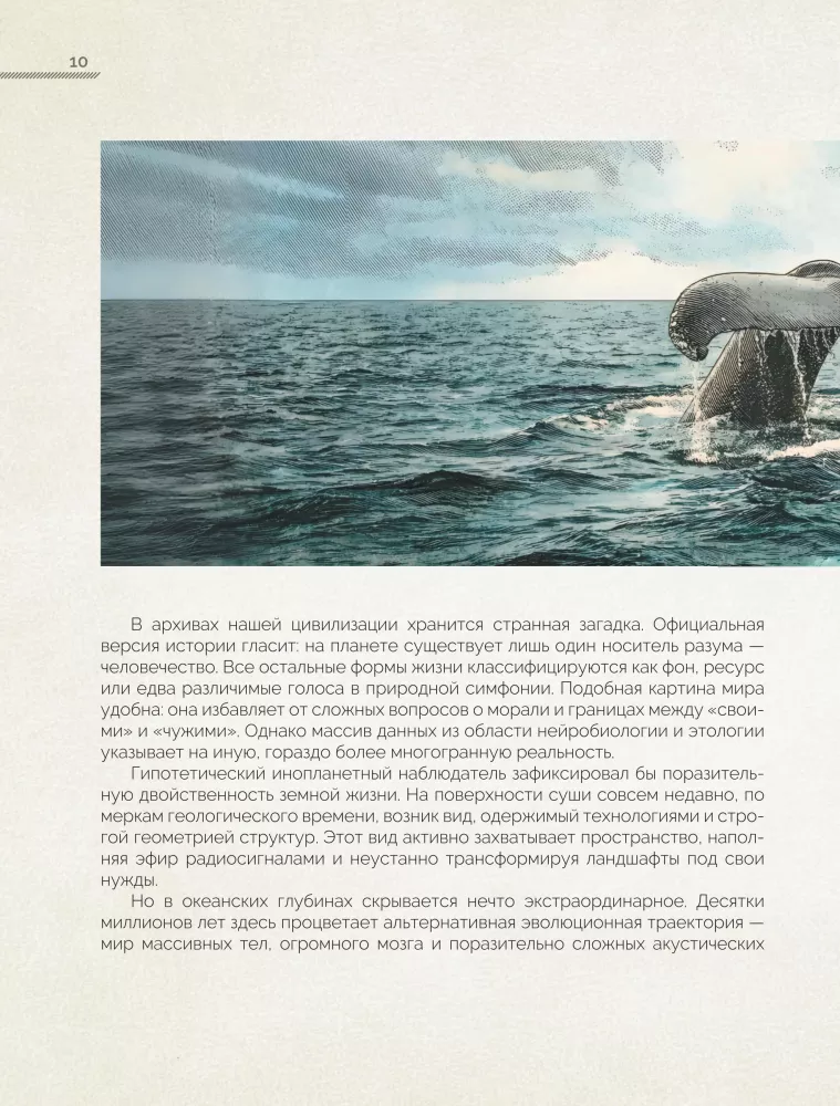 Whales. The Unexplored Mind. The History of Evolution and Recent Research on the Intelligence of Marine Giants