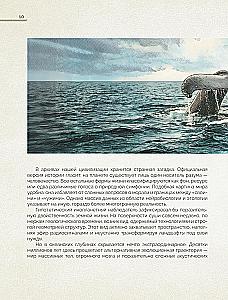 Whales. The Unexplored Mind. The History of Evolution and Recent Research on the Intelligence of Marine Giants