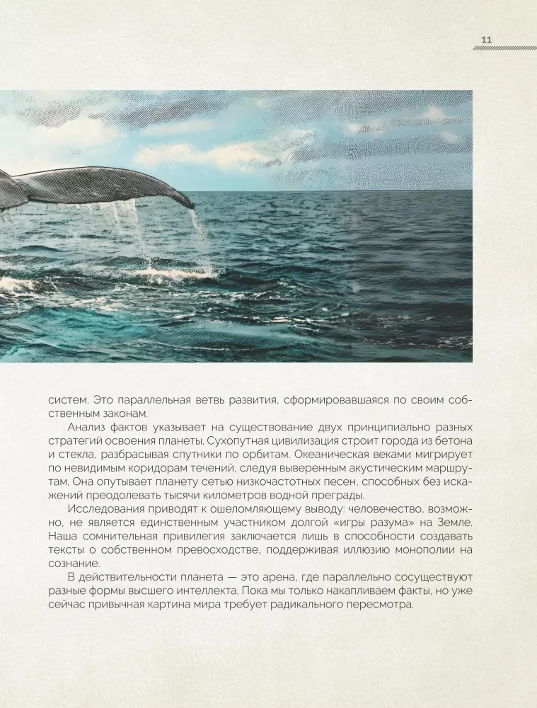 Whales. The Unexplored Mind. The History of Evolution and Recent Research on the Intelligence of Marine Giants