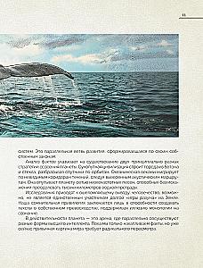 Whales. The Unexplored Mind. The History of Evolution and Recent Research on the Intelligence of Marine Giants