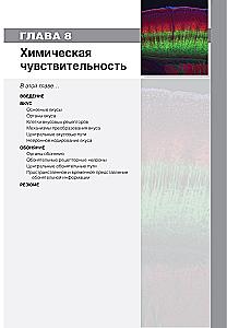 Neuroscience. Study of the Brain. Volume 2. Sensory and Motor Systems