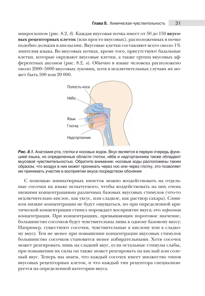 Neuroscience. Study of the Brain. Volume 2. Sensory and Motor Systems