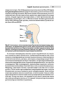 Neuroscience. Study of the Brain. Volume 2. Sensory and Motor Systems