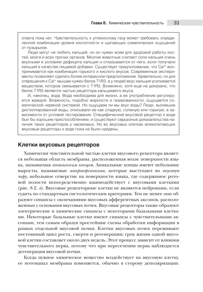 Neuroscience. Study of the Brain. Volume 2. Sensory and Motor Systems