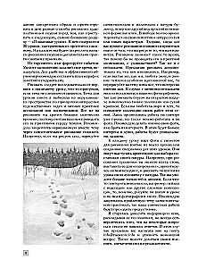 Рисование соусом. Мягкий графический материал: свойства, особенности и способы нанесения