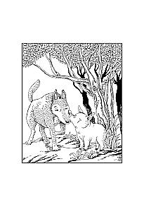 In Search of the Cheerful Forest