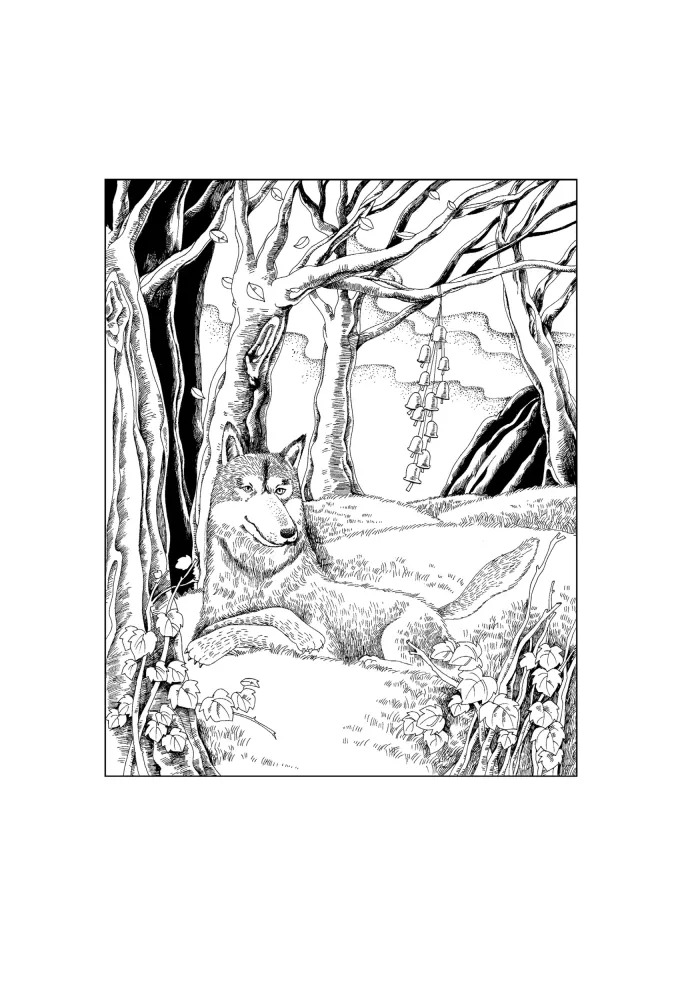 In Search of the Cheerful Forest