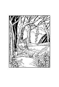 In Search of the Cheerful Forest