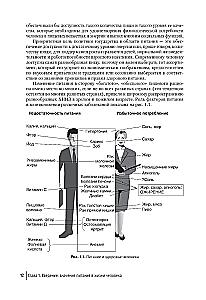 Nutritional Science. Basics of Human Nutrition