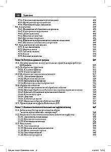 Java. The Professional's Library. Volume 1. Fundamentals