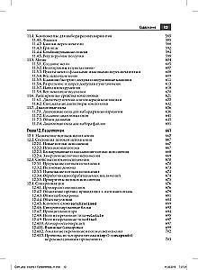 Java. The Professional's Library. Volume 1. Fundamentals