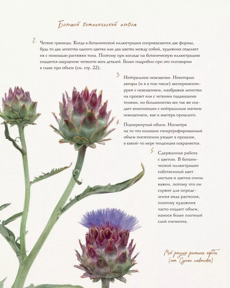 The Big Botanical Album. Drawing Flowers with Colored Pencils