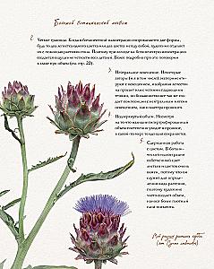 The Big Botanical Album. Drawing Flowers with Colored Pencils