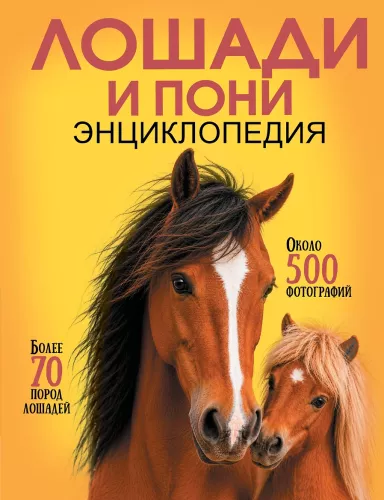 Horses and Ponies