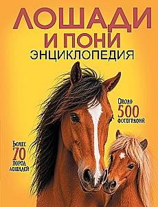 Horses and Ponies