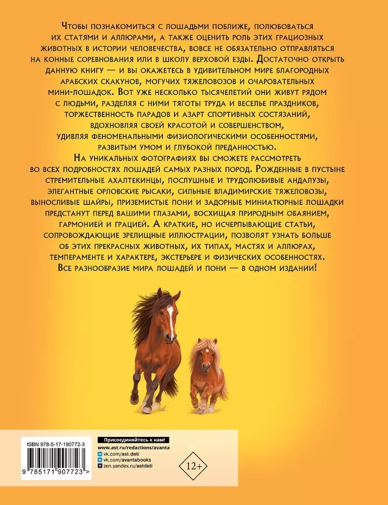 Horses and Ponies