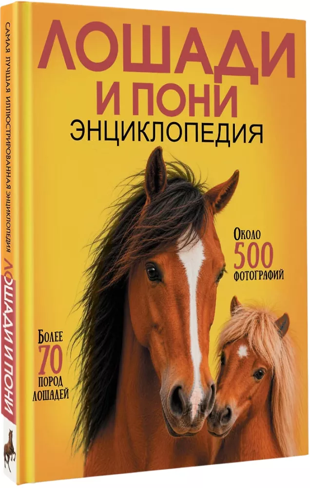 Horses and Ponies