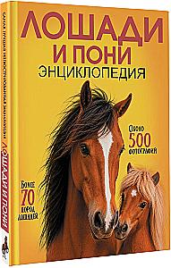 Horses and Ponies