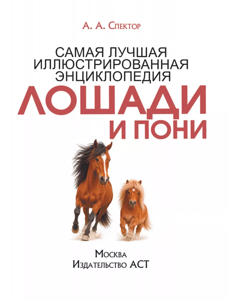 Horses and Ponies