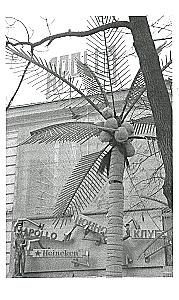Historia jednej bandy