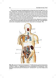 Anatomia człowieka: Podręcznik. W 2 tomach