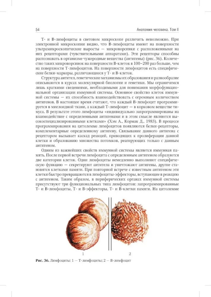 Anatomia człowieka: Podręcznik. W 2 tomach