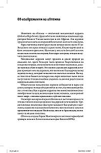 C# 12. Pocket Guide