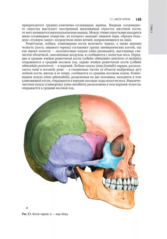 Kosmetologia: krajowy przewodnik