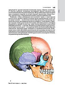 Kosmetologia: krajowy przewodnik