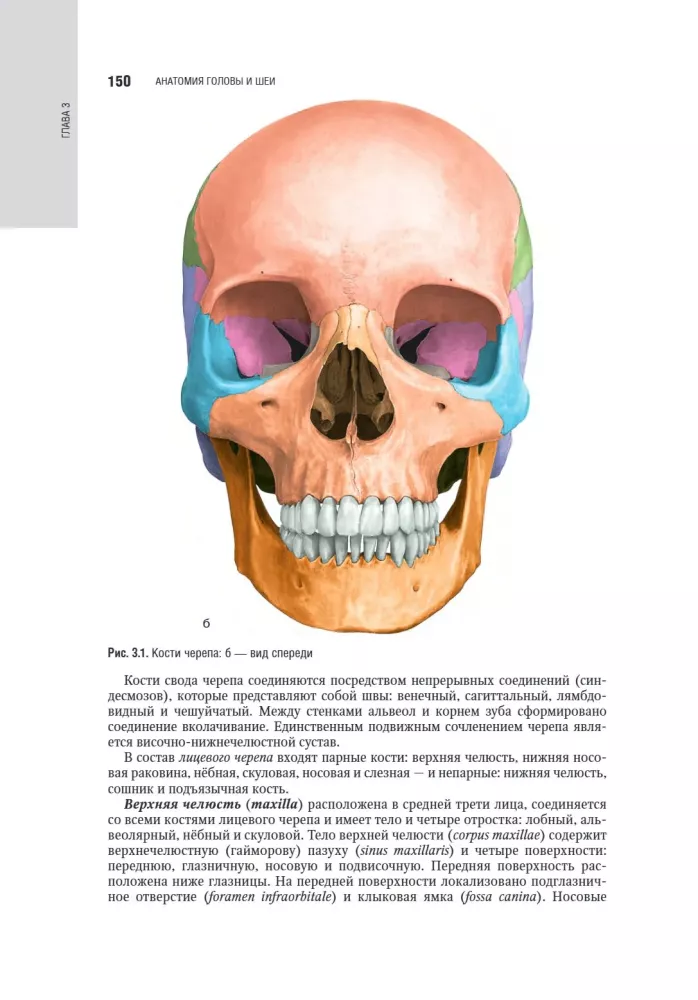 Kosmetologia: krajowy przewodnik