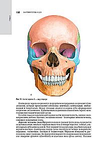 Kosmetologia: krajowy przewodnik