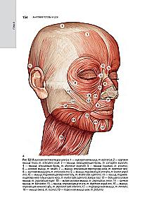 Kosmetologia: krajowy przewodnik