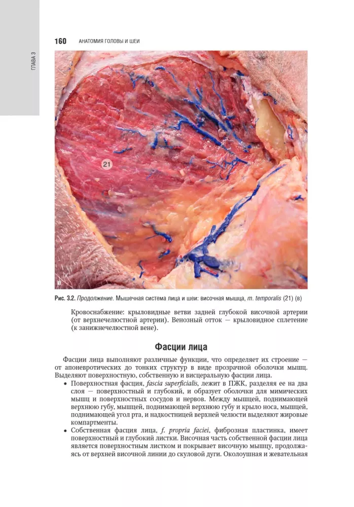 Kosmetologia: krajowy przewodnik