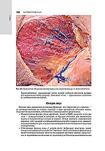 Kosmetologia: krajowy przewodnik