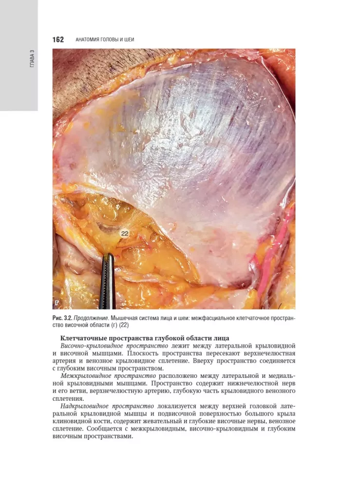 Kosmetologia: krajowy przewodnik