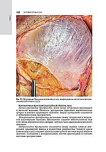 Kosmetologia: krajowy przewodnik