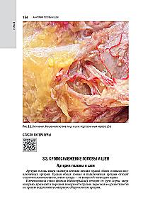 Kosmetologia: krajowy przewodnik
