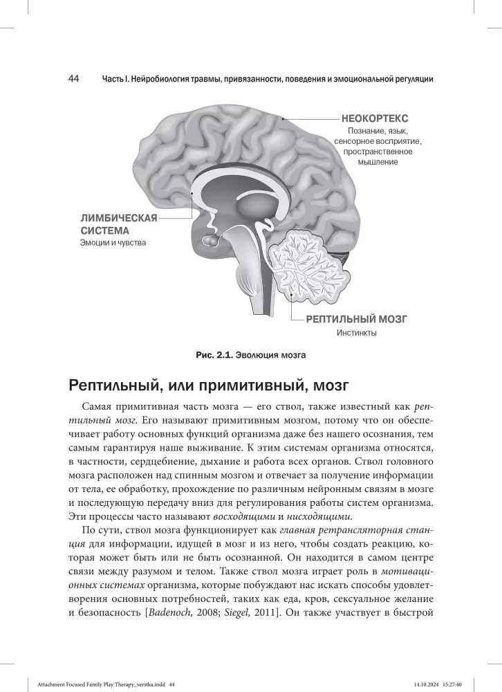 Family Play Therapy Focused on Attachment. Healing Children and Adolescents After Trauma