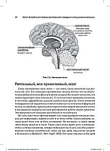 Family Play Therapy Focused on Attachment. Healing Children and Adolescents After Trauma