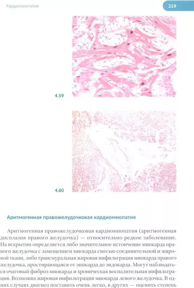 Forensic Medical Examination of the Corpse. In 3 Volumes
