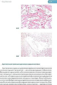 Forensic Medical Examination of the Corpse. In 3 Volumes