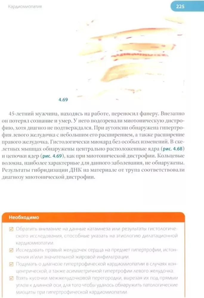 Forensic Medical Examination of the Corpse. In 3 Volumes