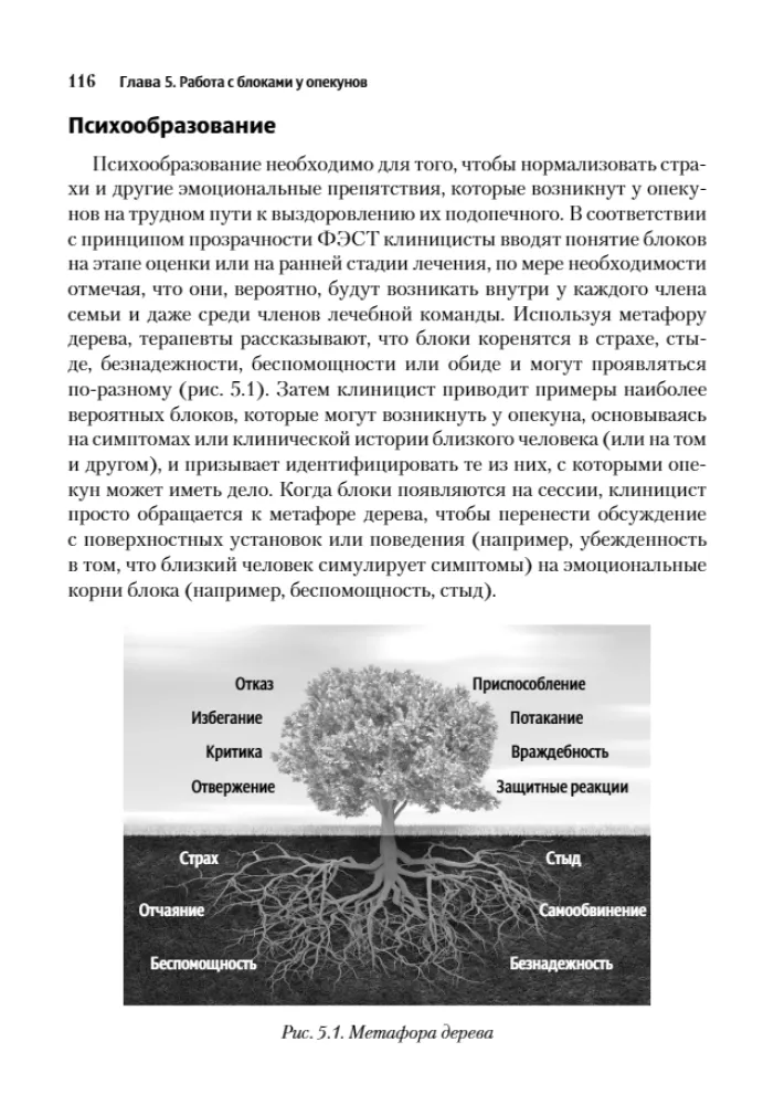Skoncentrowana na emocjach terapia rodzinna. Transdiagnostyczny model strategii pracy z bliskimi i rodziną pacjentów z zaburzeniami psychicznymi
