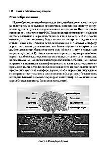 Skoncentrowana na emocjach terapia rodzinna. Transdiagnostyczny model strategii pracy z bliskimi i rodziną pacjentów z zaburzeniami psychicznymi