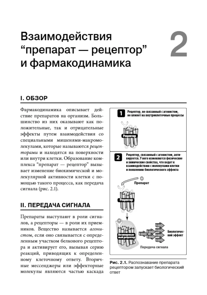 Lippincott Pharmacology