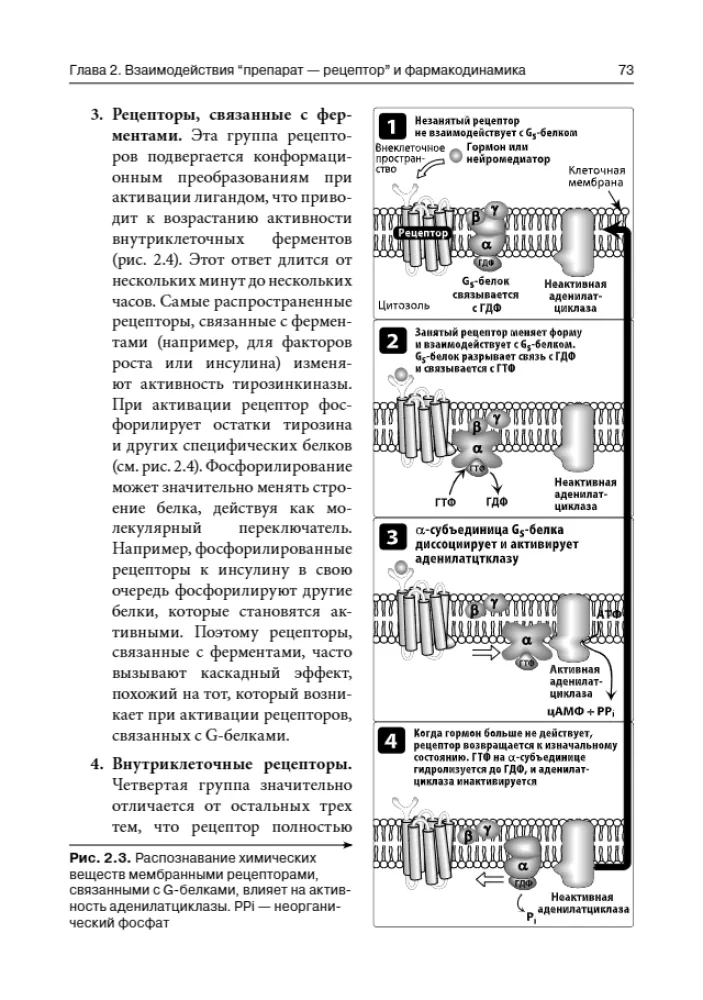 Lippincott Pharmacology