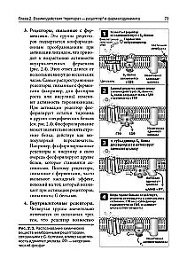 Lippincott Pharmacology