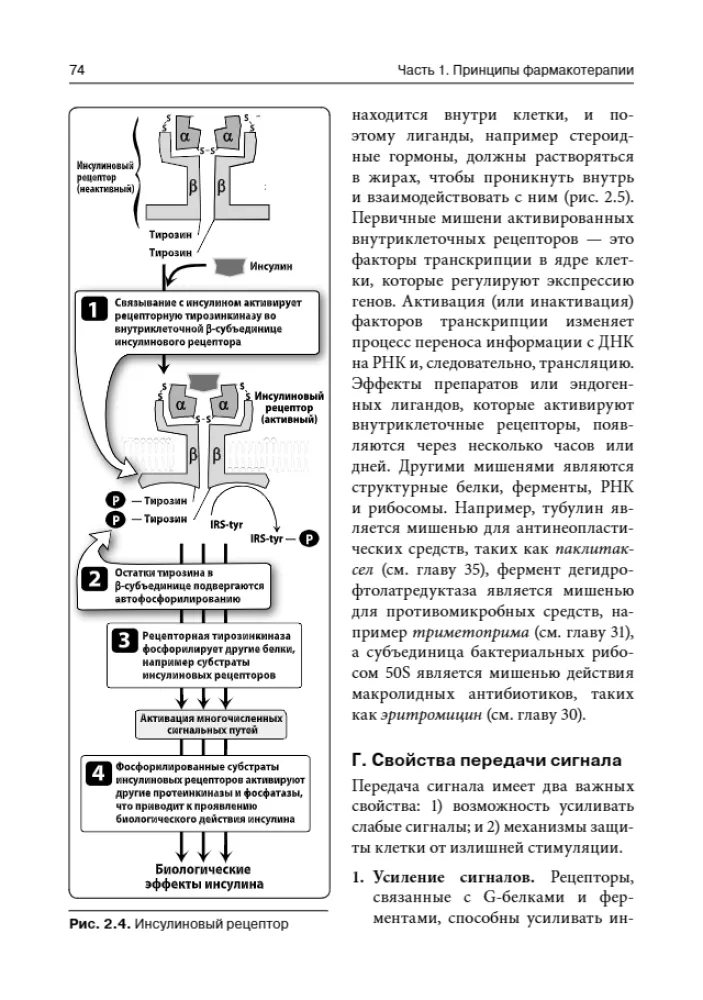 Lippincott Pharmacology