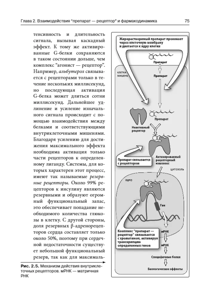 Lippincott Pharmacology